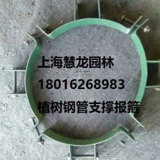 大樹報(bào)箍，植樹支撐報(bào)箍，鋼支撐報(bào)箍