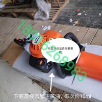 上海浦東，綠化割草，修剪旺季，注意綠籬機，草坪機，割灌機 日常保養(yǎng)